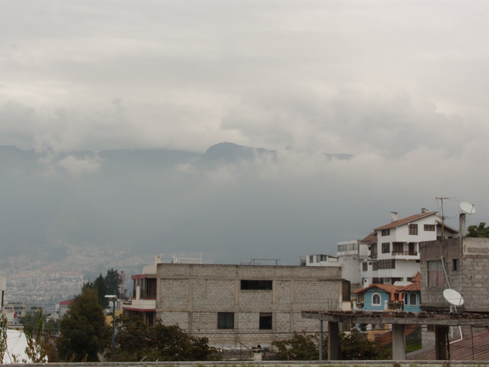 Equatorial English Guanábanas and Guayasamín