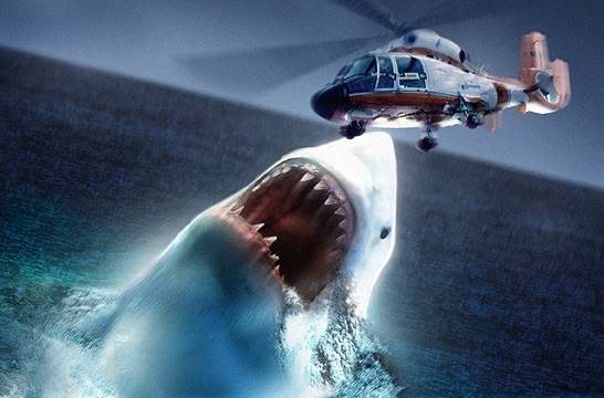 31st&Chi: Shark Week.