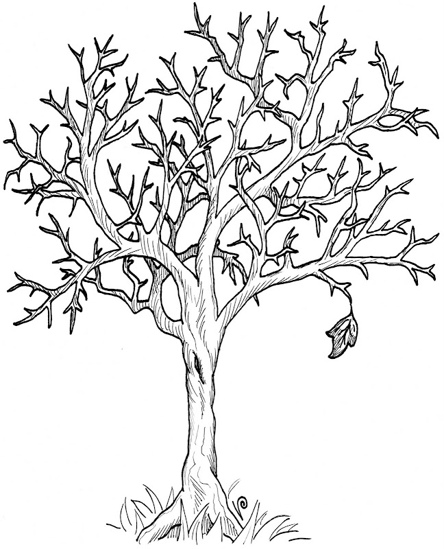 oak tree coloring pages - photo #49