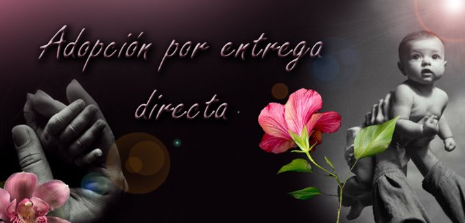 Adopción por entrega directa