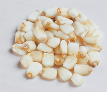 [posolecornpics.jpg]