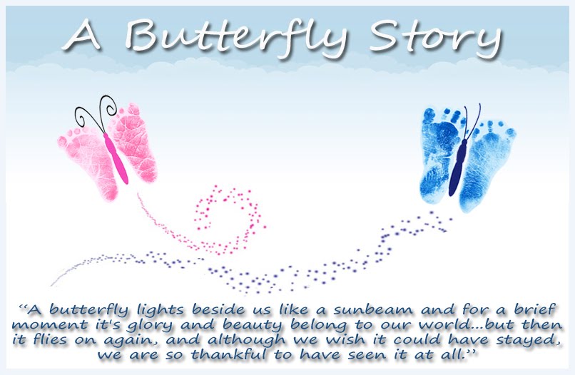 a-butterfly-story-a-butterfly-story