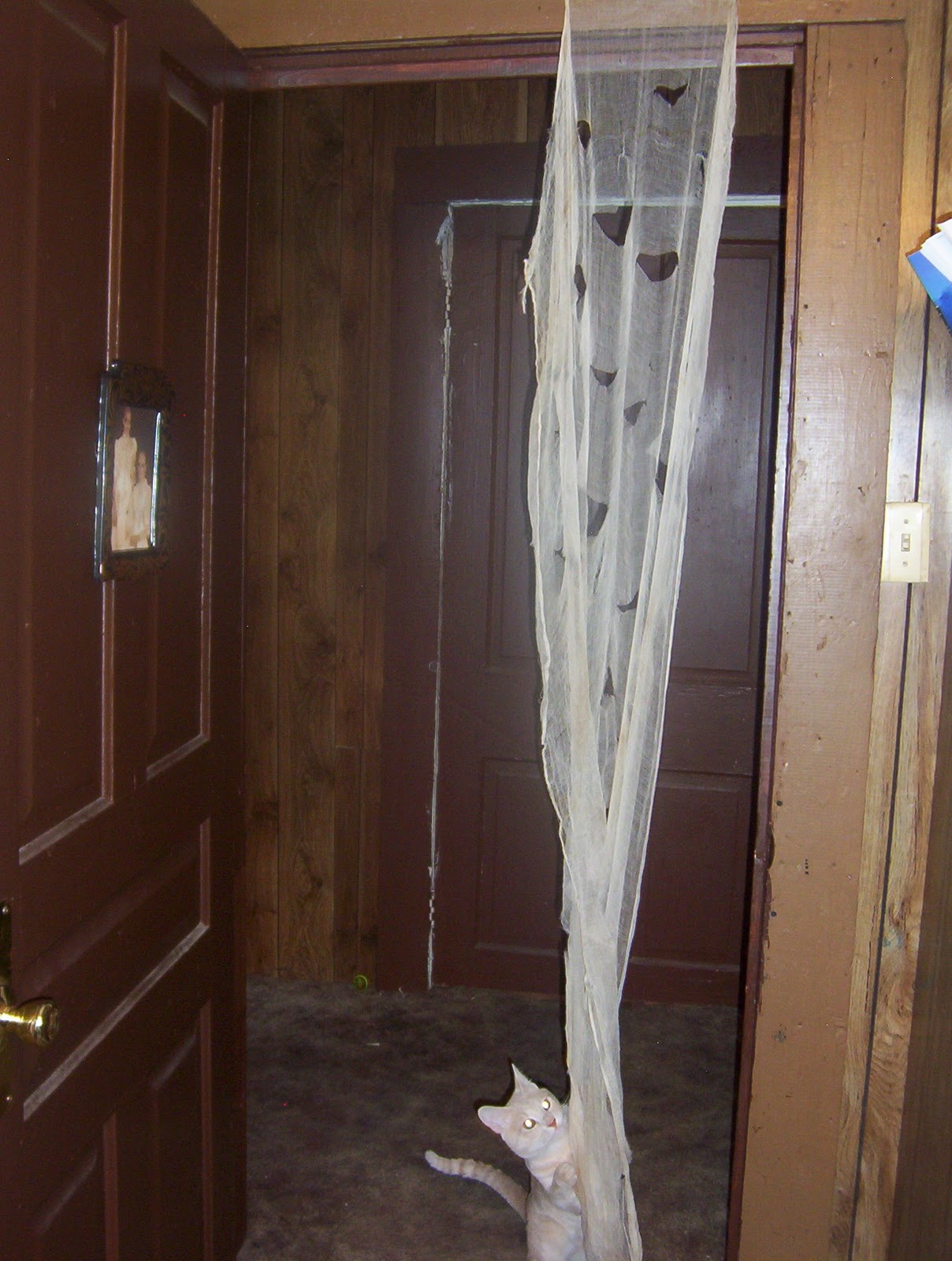 24 Foot Street Creepy Cloth