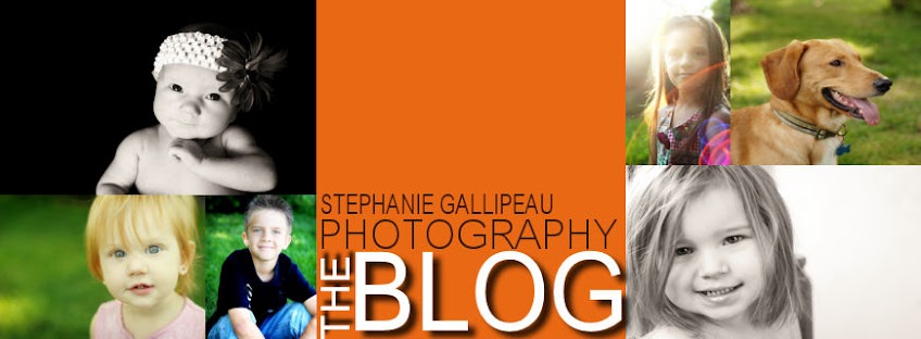 Stephanie Gallipeau Photography Info