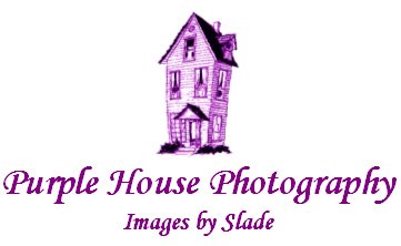 Purple House Photography