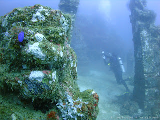  the ancient Sea Gods of Bali decreed that a temple should live  erected inwards their laurels at  Woow Underwater Temples, Bali