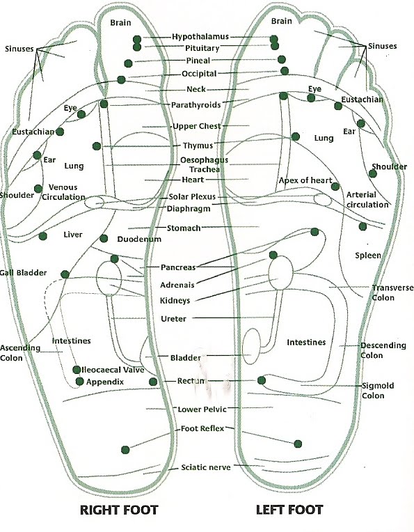 Wise Health & Wellbeing Detox your body through your feet
