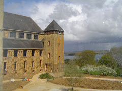 Abbaye de Landévennec (29)