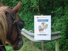 Un cheval qui savait lire...