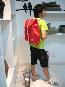 My Dream Bag!!!