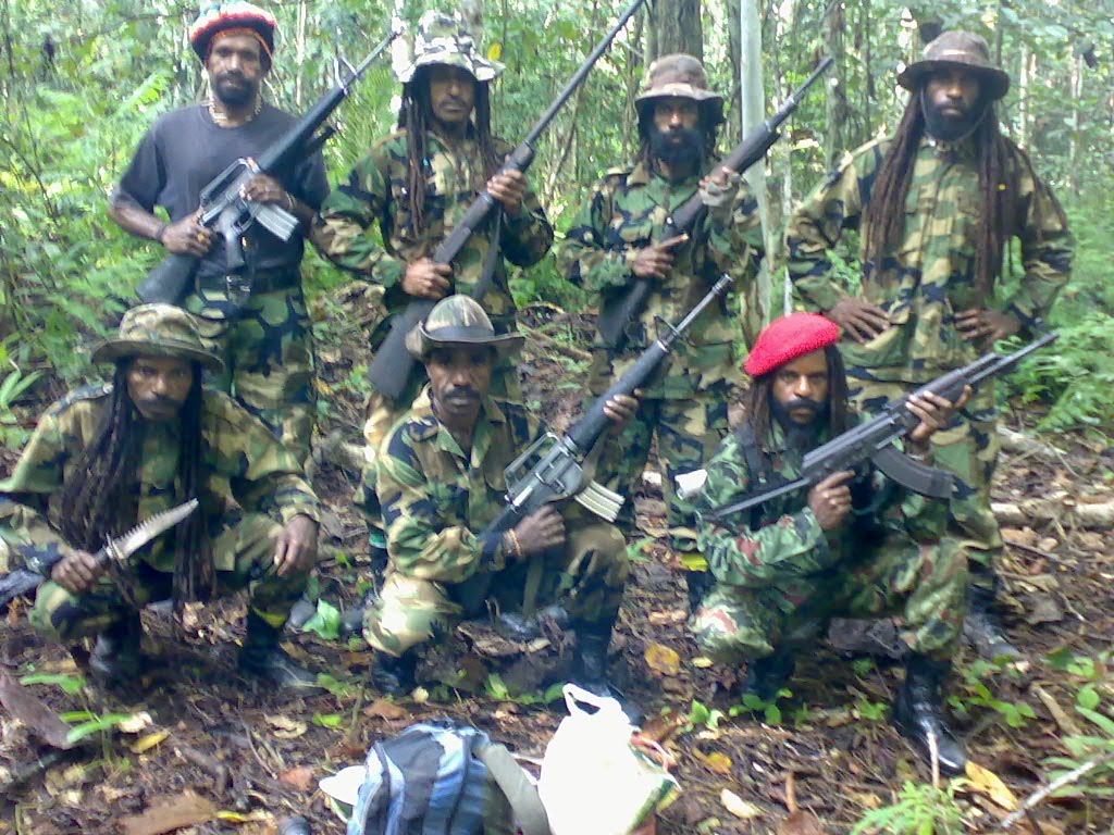 Panglima TNI : Masih Banyak Kelompok Bersenjata Di Papua | Arsip Ardava