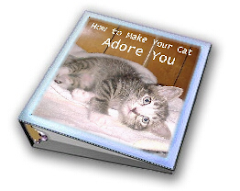 Make Your Cat ADORE You