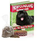 New Foundland dog care