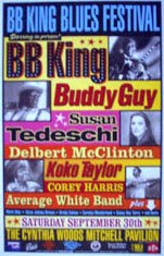 bb king/buddy guy