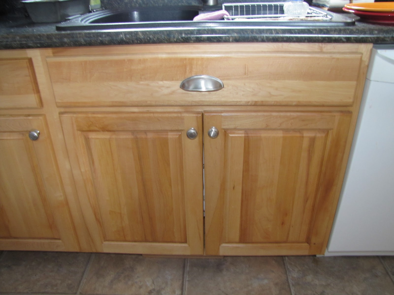 Sustainably Chic Designs ORGANIZATION Under the Kitchen Sink Day 5