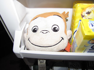 Sustainably Chic Designs: ORGANIZATION: The Freezer (Kitchen) Day #11