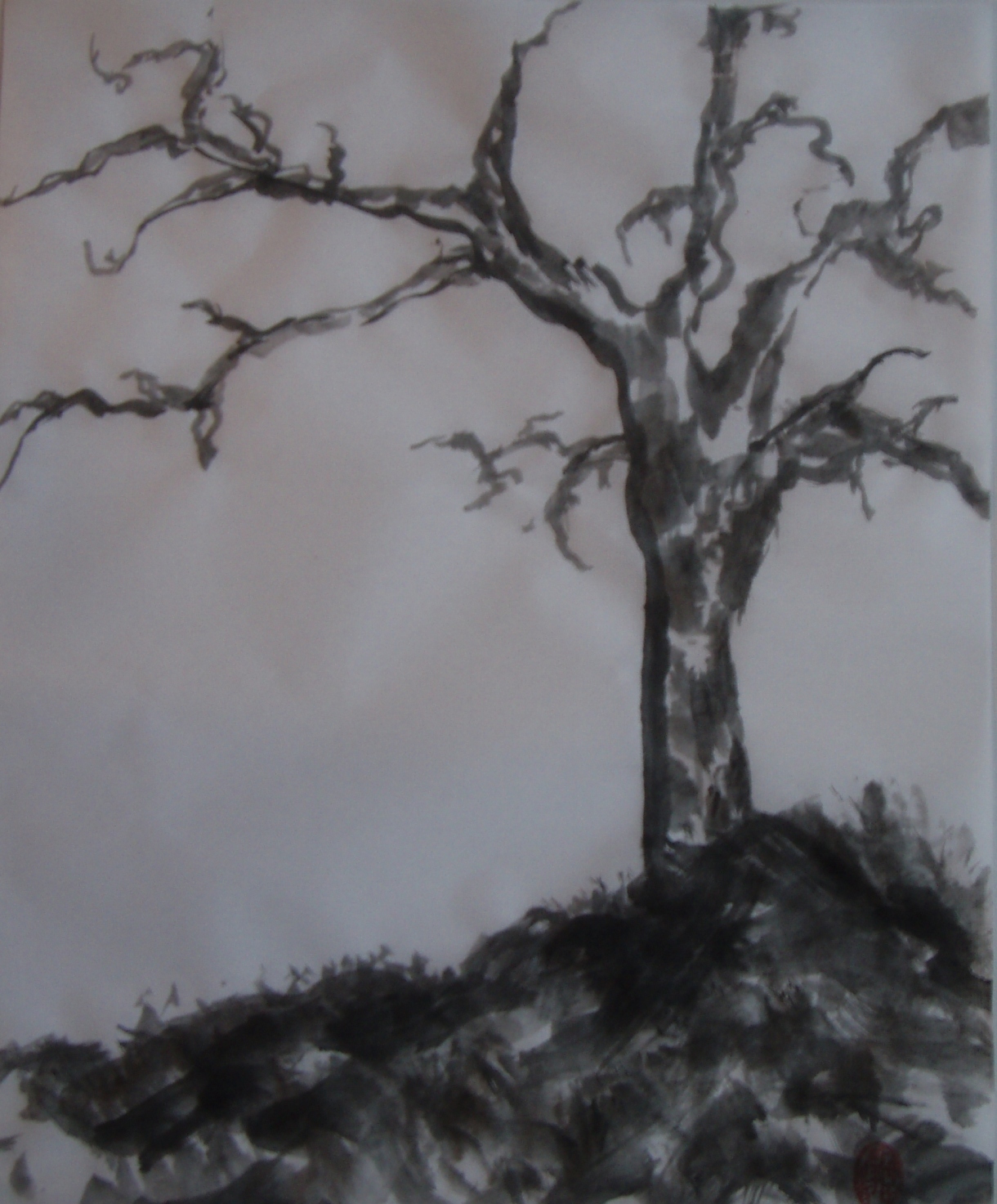 [How+Tall+Does+a+Tree+Grow+-+70.JPG]