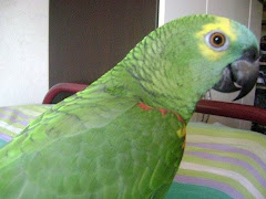 O SEU NOME É Romeu.