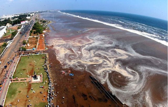 [zAfterTsunami_Marina.jpg]