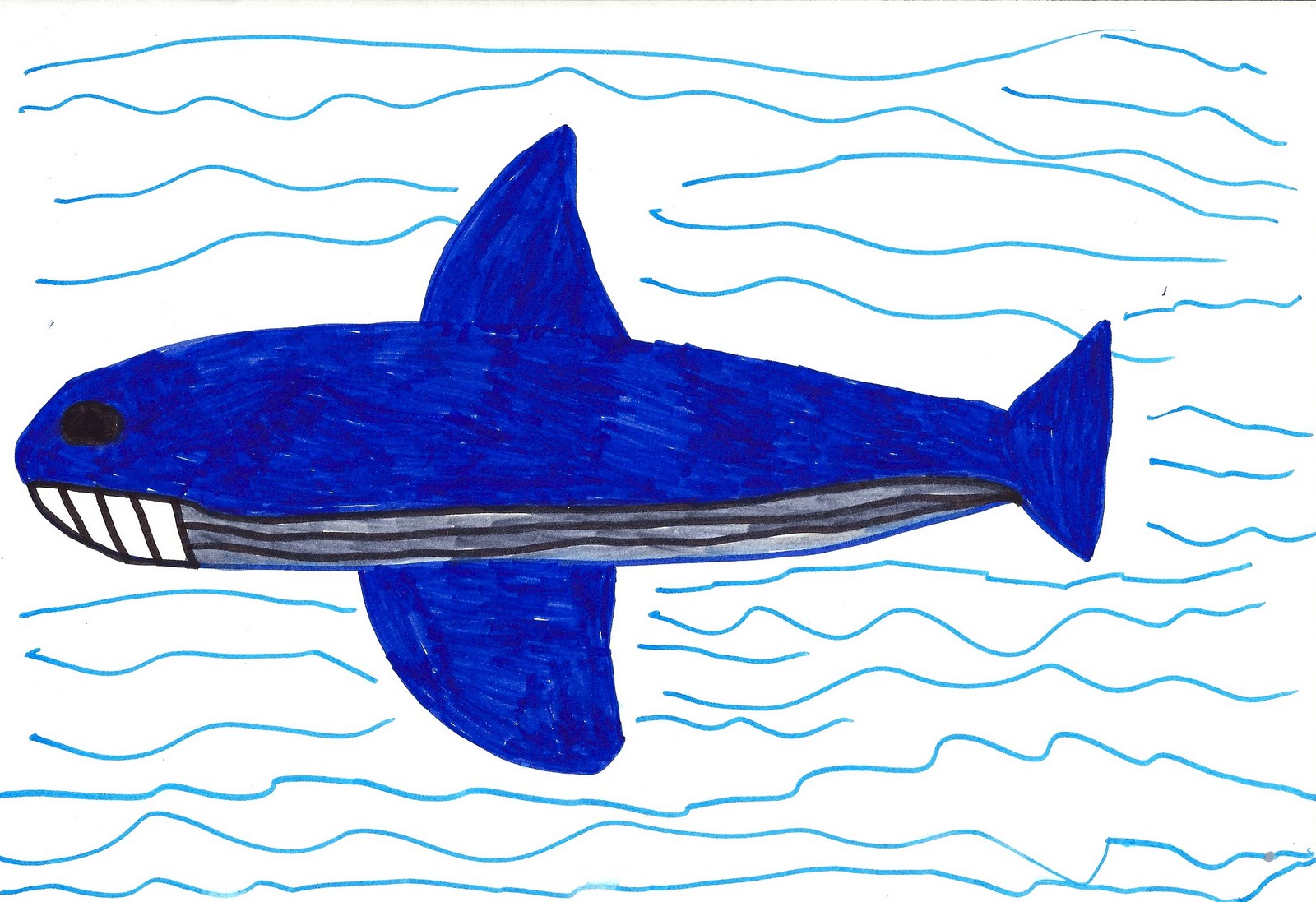 octonauts coloring pages orca - photo #41