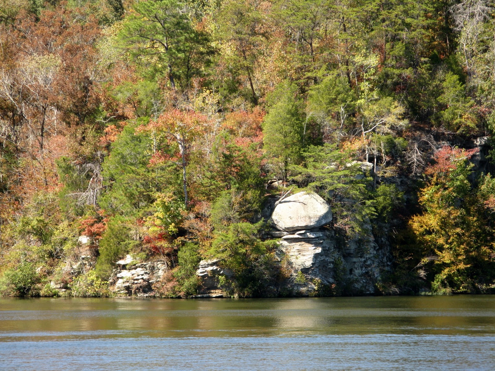 Valentine's Travels Upper Black Warrior River