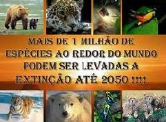 Espécies em Extinção