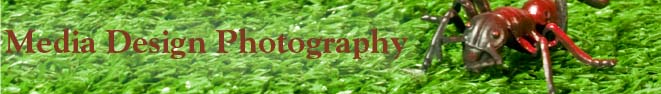 Media Design Photography