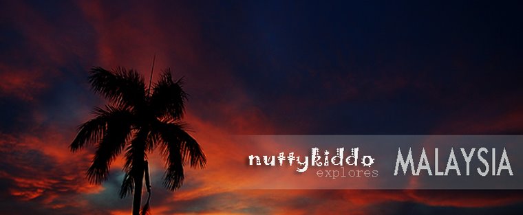 Nuttykiddo explores Malaysia...