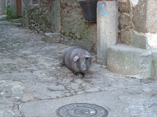 O porco - La Alberca 