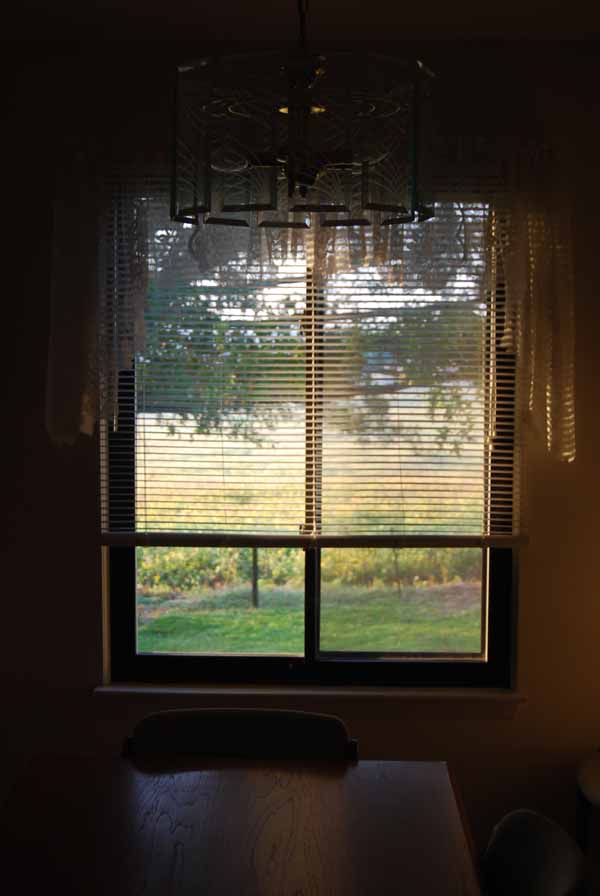 Lew's Other Pics: Window Views - Our dining room window Open Window At Morning