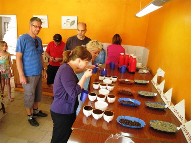 Swedish School In Lusaka A Tour At The Munali Coffee Farm