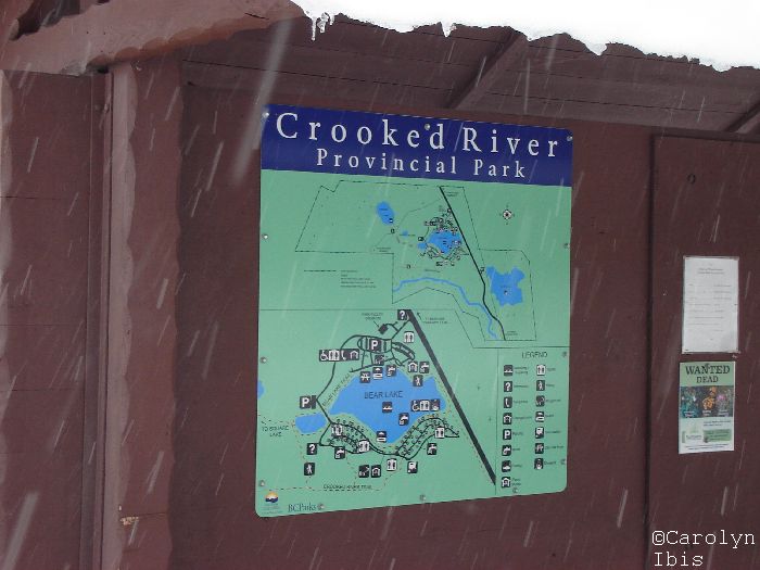 Carolyn's Flight of Fancy Livingston Springs Snowshoe Trip