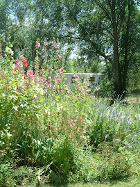 My Garden (flowers)