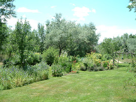 My Garden (W)