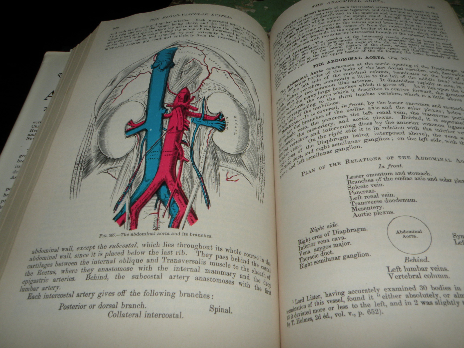Medical Anatomy Book