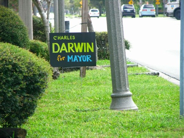[Darwin+for+Mayor.jpg]