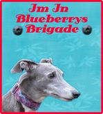 Blueberry's Brigade