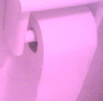 "Cartaigienica" : "commenti e documenti... perduti"