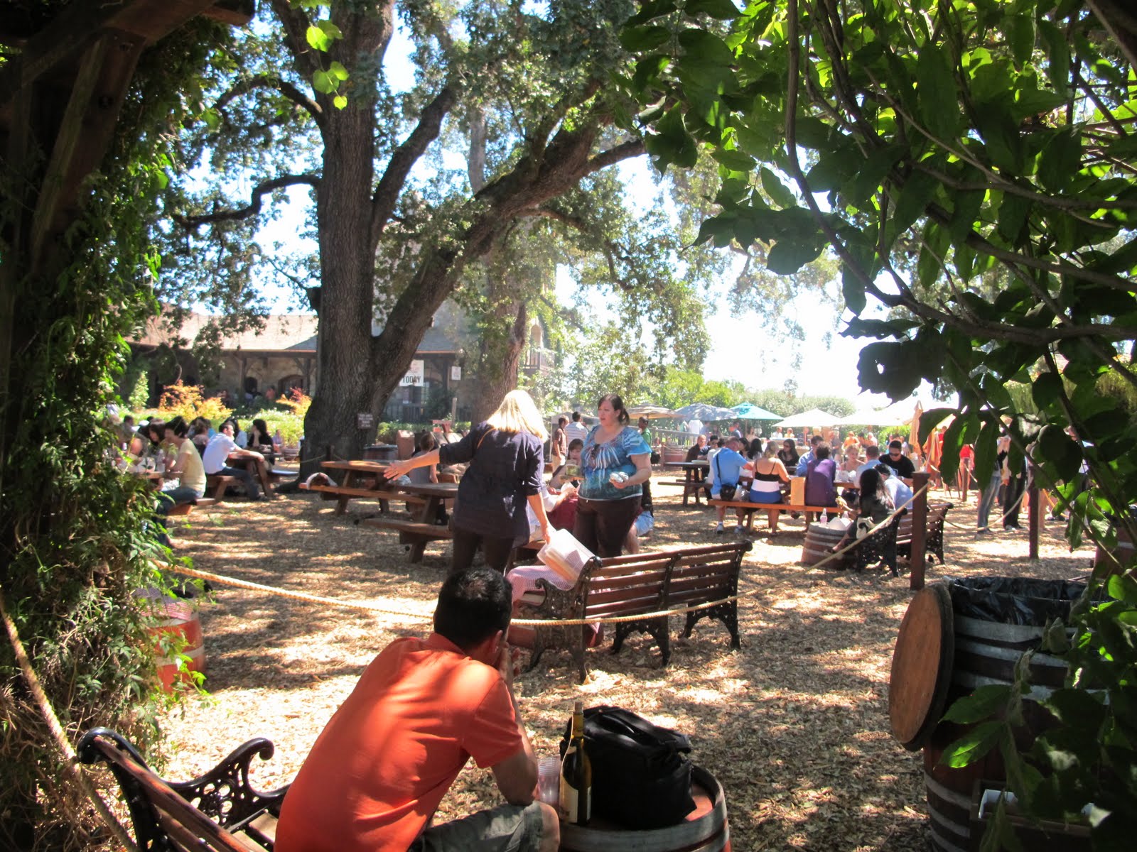 Classy Eats Dean & Deluca picnic at V. Sattui Winery, Napa, CA.