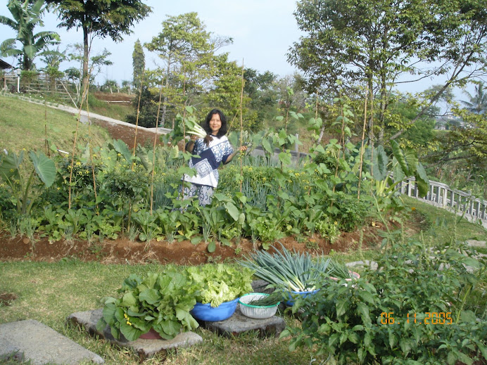 SEDAP ALAMI - Organic Farm n Resto