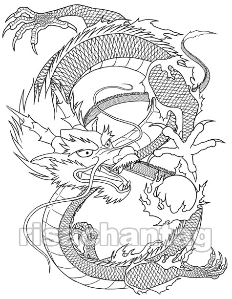 dragon tattoo wallpaper