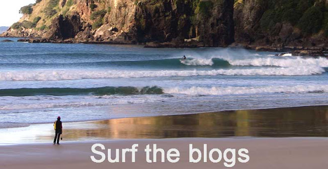 Surf the blogs
