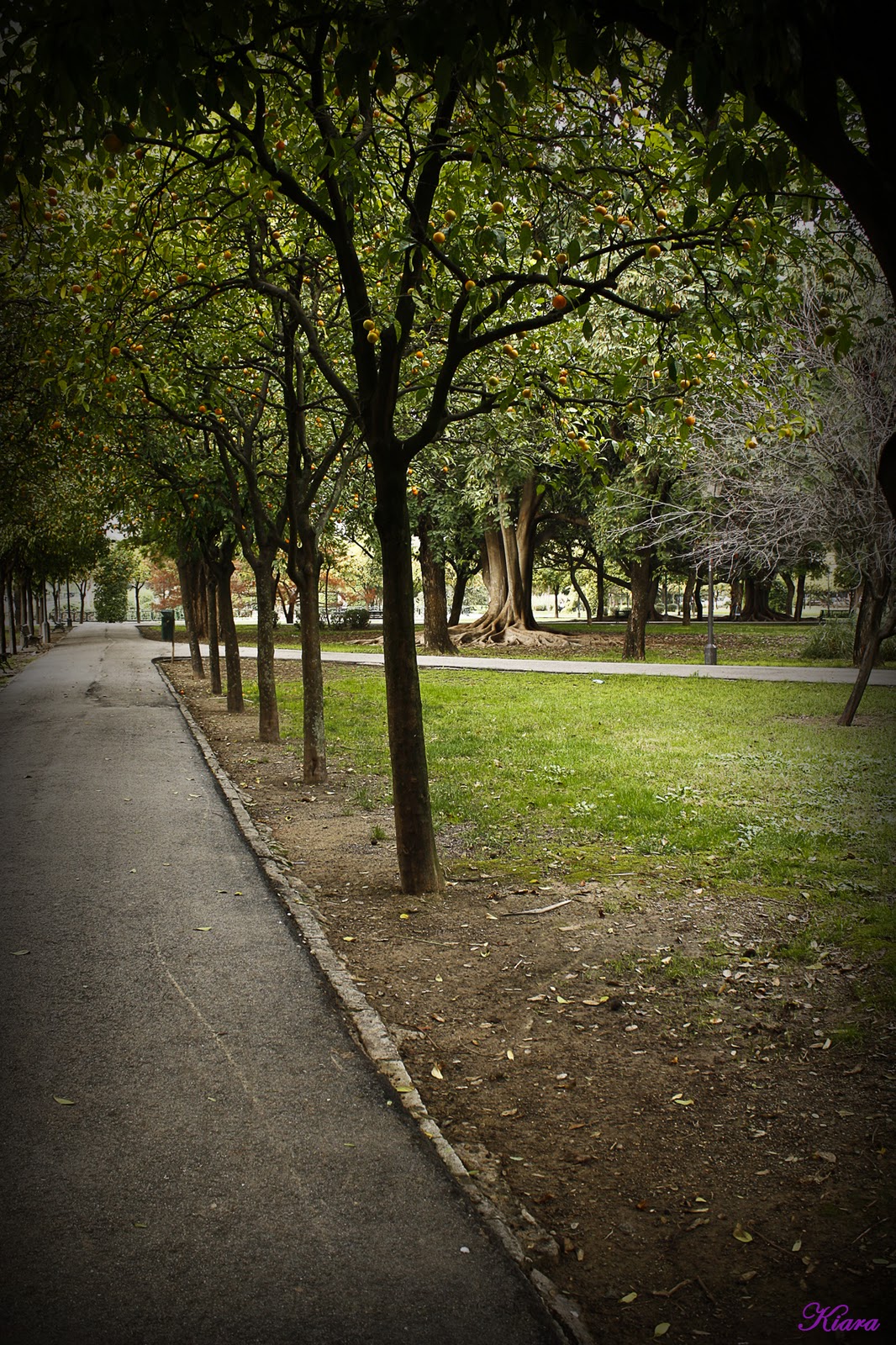 Parque de los Príncipes Fotos Kiara