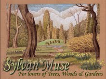 Sylvan Muse Spring Header