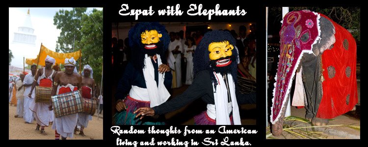 Expat with Elephants