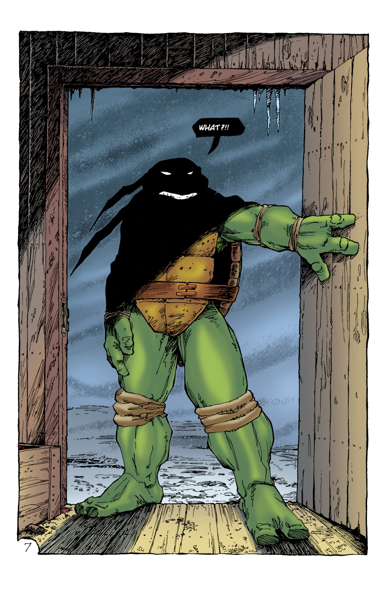 Read online Teenage Mutant Ninja Turtles Color Classics (2013) comic -  Issue #5 - 9