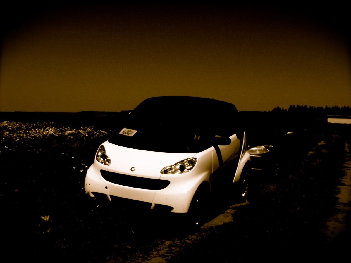 [smartdarksmall.JPG]