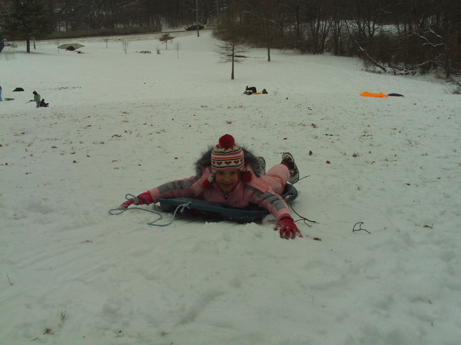 [FILE0010.JPG]
