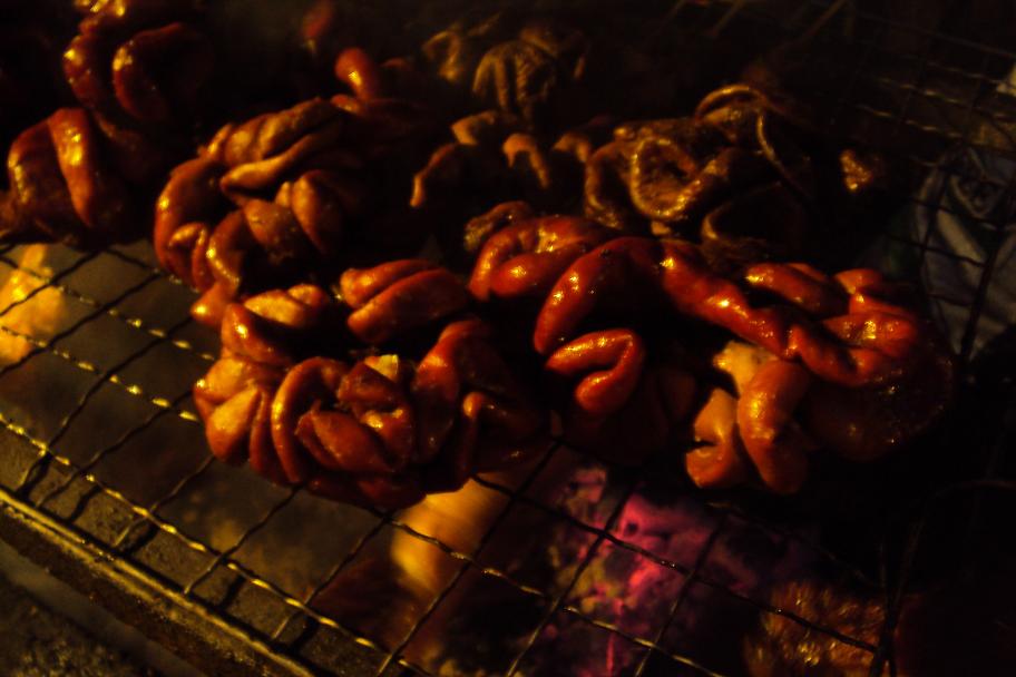 [Buffalo+Intestine.jpg]
