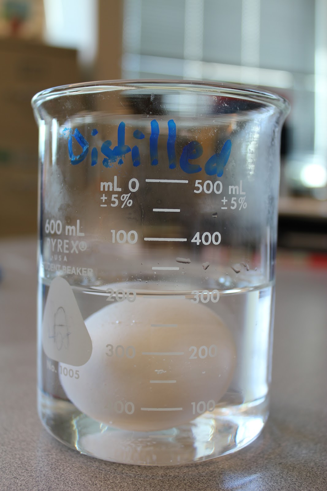The Science Experience Osmosis Egg Lab Part 1